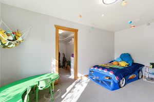 Bedroom with a walk in closet and light carpet