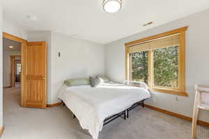 Bedroom featuring light carpet and multiple windows