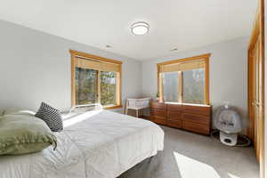 Bedroom featuring carpet flooring and multiple windows