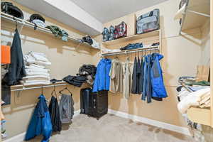 Spacious closet with carpet flooring
