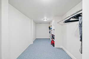 Walk in closet with light colored carpet