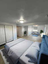 Basement Bedroom featuring a textured ceiling, and two closets