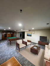 Basement living room