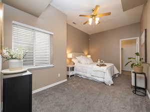 Primary bedroom in basement with walk in closet