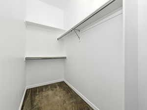 Primary bedroom closet