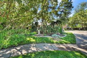 View of green lawn
