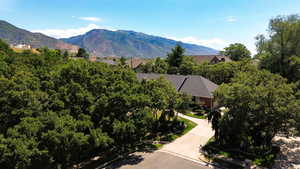 View of mountain background
