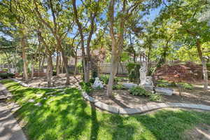View of yard with a patio area