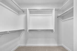 Spacious closet with light carpet