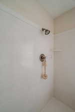 Bathroom view of tiled shower