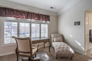 Sitting area/work area in the primary bedroom with plenty of natural light, a view of the ponds, ornamental molding, carpet