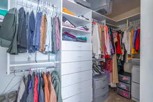 Spacious closet in primary bathroom with closet organizers and carpet flooring