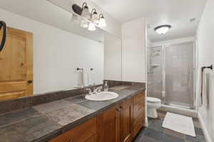 Bathroom featuring vanity, a shower stall, and dark stone finish flooring