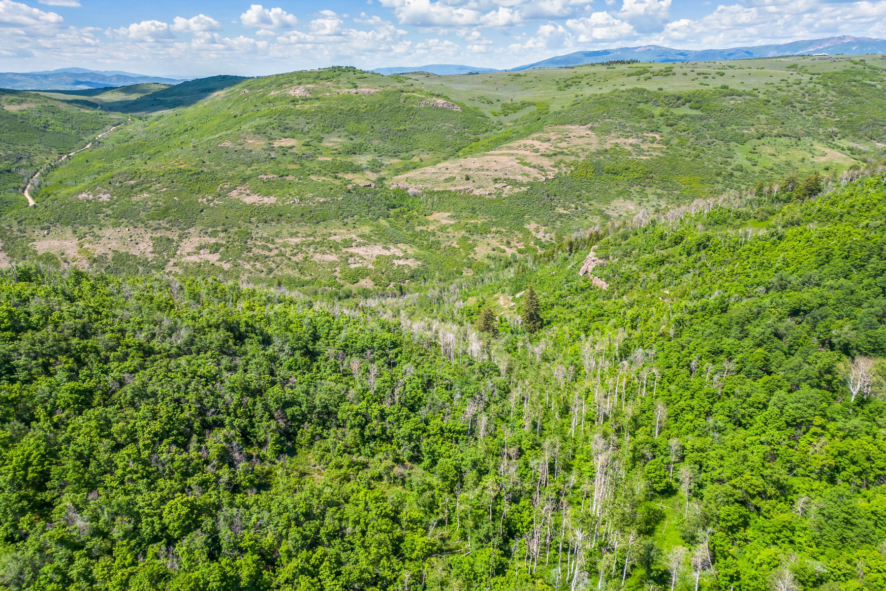 View of mountain backdrop