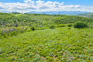 Mountain view with a forest