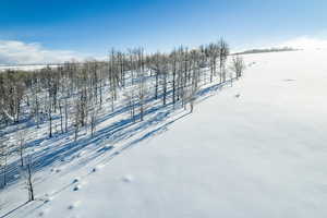 View of yard layered in snow