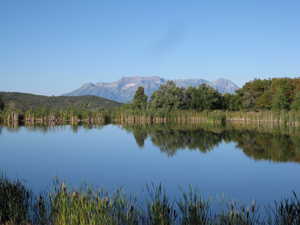 Water view featuring mountains and a forest