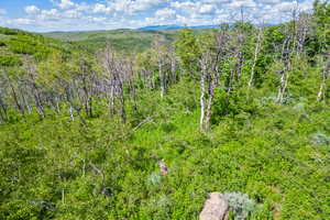 View of woods with a mountain view