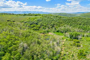 Bird's eye view of mountains and a forest