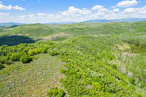 View of mountain backdrop with a heavily wooded area