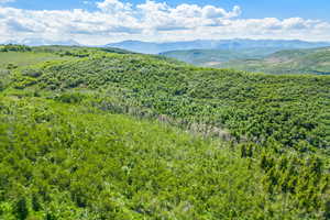 Mountain view with a forest
