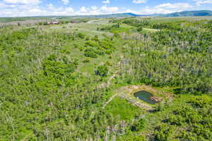 Drone / aerial view of a heavily wooded area and a water and mountain view