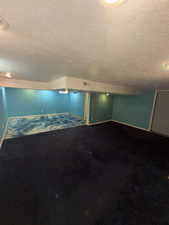 Finished basement featuring dark colored carpet and a textured ceiling