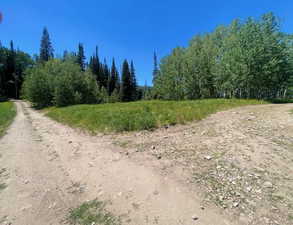 corner of Lot 18, Bordered by two lanes