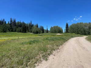 View of undeveloped land featuring rural landscape