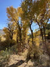 View of undeveloped land