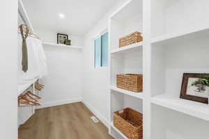 Spacious closet featuring light wood-style floors