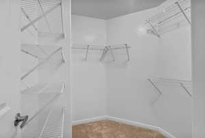 Spacious closet featuring light carpet