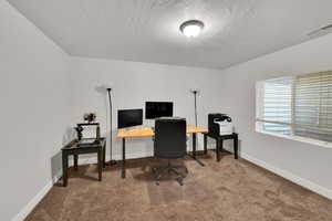 Office space featuring carpet and a textured ceiling