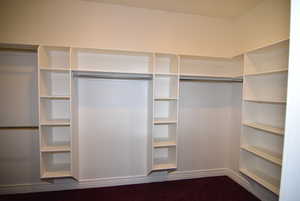 View of walk in closet