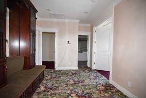 Hallway with crown molding and dark carpet