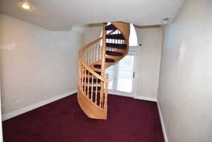 Stairs featuring carpet flooring and baseboards