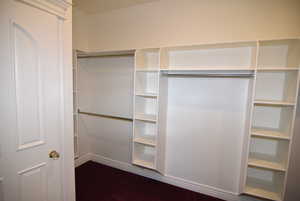 View of walk in closet