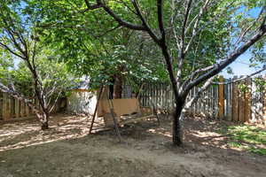 View of the shed, nectarine and cherry trees