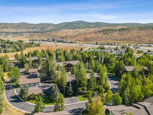 Aerial perspective of suburban area featuring a mountainous background