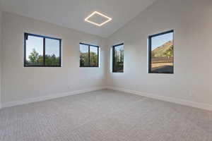 Unfurnished room featuring lofted ceiling, light colored carpet, and healthy amount of natural light