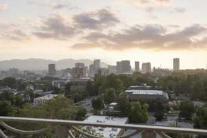Skyline view