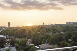 Aerial view at dusk of view of wooded area