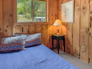 Living area with carpet floors and wooden walls