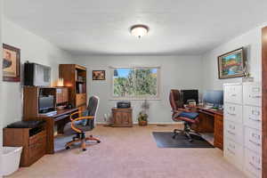 Office featuring light colored carpet and a textured ceiling