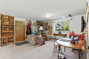 Carpeted living room with a textured ceiling