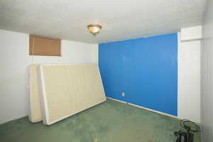 Carpeted empty room featuring wood walls