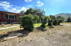 View of yard with a mountain view