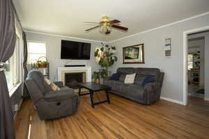 Living area with crown molding, wood finished floors, a fireplace, and a ceiling fan