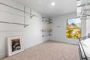 Walk in closet with light carpet