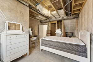 Bedroom on basement level showing entry door and storage.